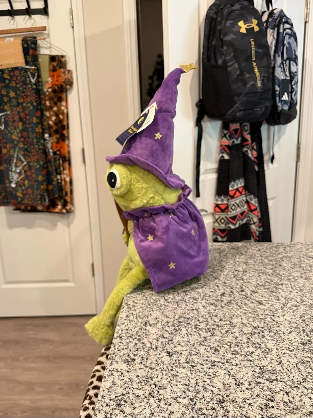 Moonlight Manor Wizard Frog